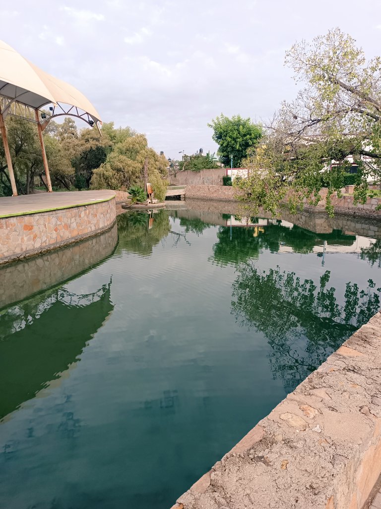 leonsociety's tweet image. madre mía, vine con pedales infantiles, me voy con raíces germinadas lo suficientemente fuertes como para que el mundo tire de ellas.
Juan Aldama, Zacatecas. Mexico 2024