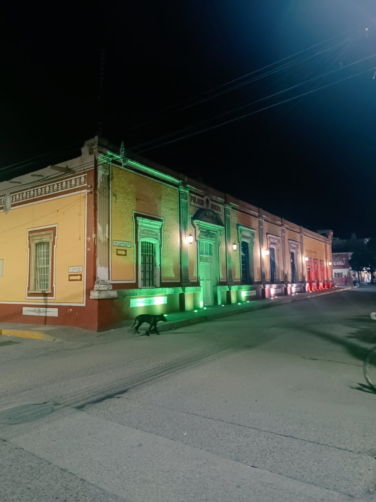 leonsociety's tweet image. madre mía, vine con pedales infantiles, me voy con raíces germinadas lo suficientemente fuertes como para que el mundo tire de ellas.
Juan Aldama, Zacatecas. Mexico 2024