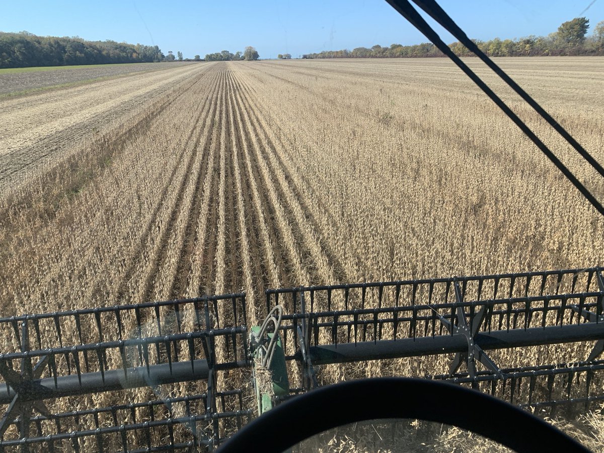 wolf_moritz's tweet image. Last round for the season, double cropped IP’s; earliest finish ever for me.🥂🍷 #northendfarms #peleeisland #canadassouthernmost