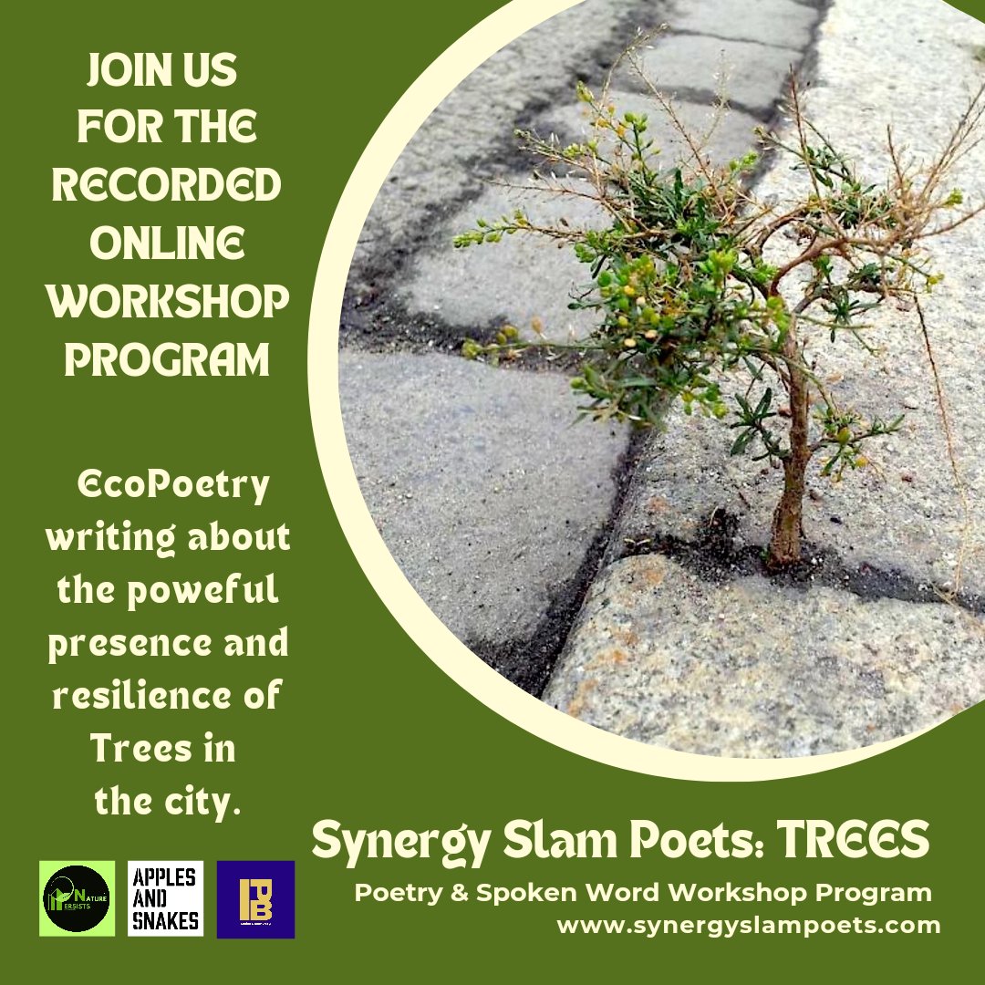 Synergy Slam Poets tweet media