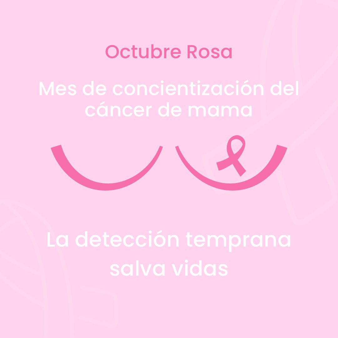 ElyangelicaNews's tweet image. #tocate 🎀