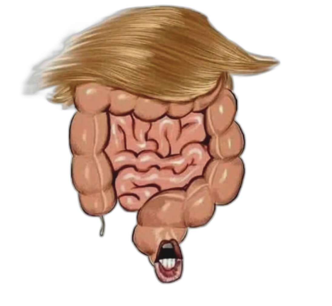 RichyDavis00's tweet image. Arrogance defines #MAGAFührer’s latest poopy week of campaign blunders!🤦‍♂️After #KamalaHarris shined in a #FoxInterview, the decrepit and mentally unstable #TrumpIsNotWell hid, canceled interviews and chose instead to spew repulsive jokes at the Al Smith Catholic Charity Dinner!🤢