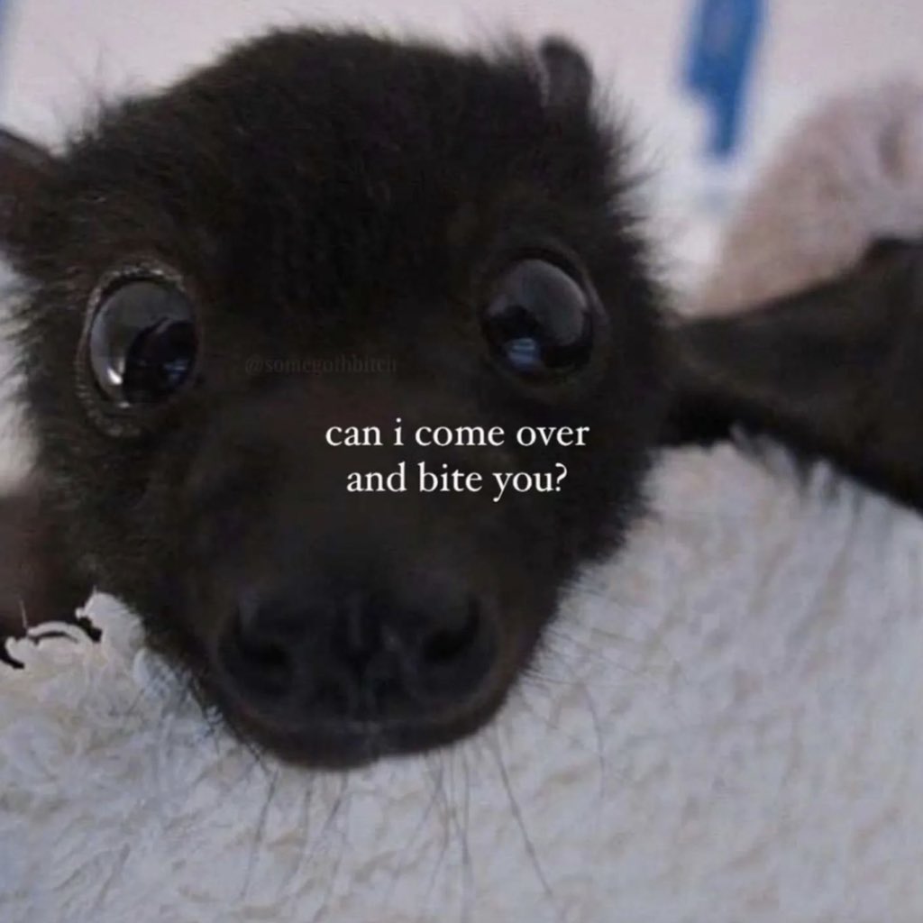 Content from lunaxalana