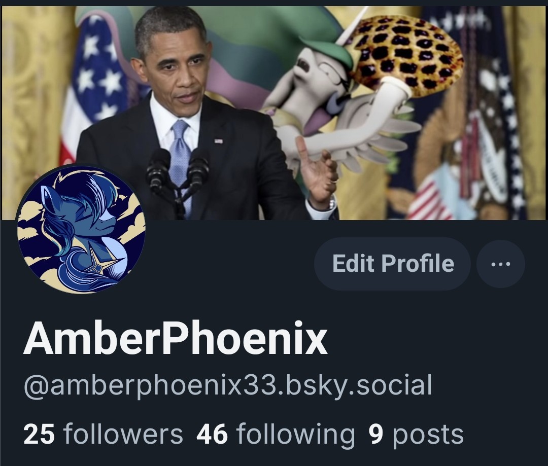 AmberPhoenix tweet media