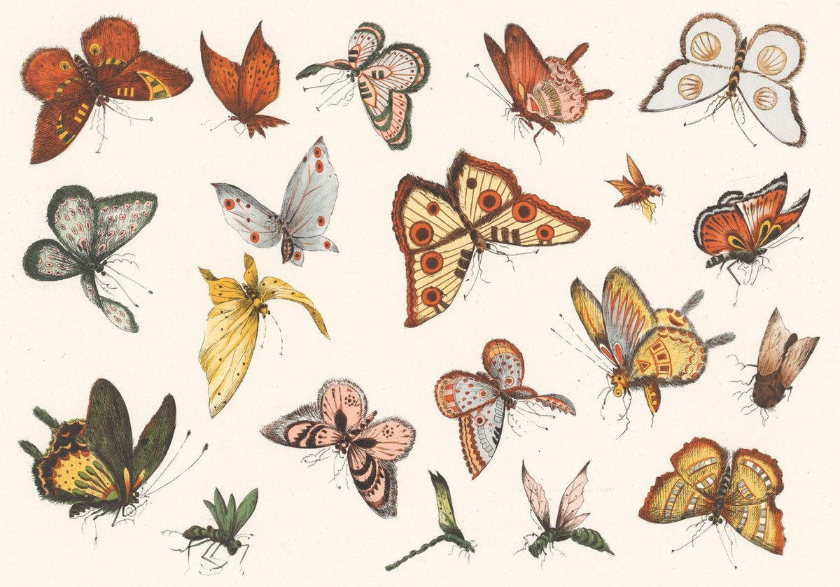 poetical photos. (@poeticalphotos) on Twitter photo 