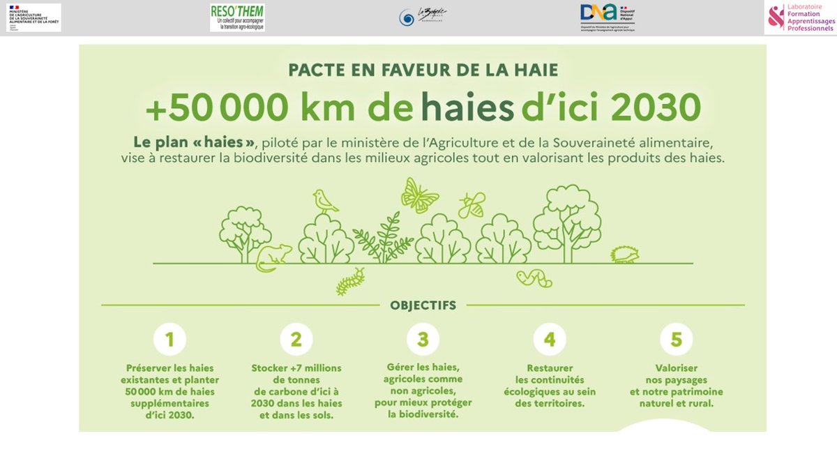 Cpeltiered's tweet photo. Enfin, présentation d'autres ressources (Pacte national pour la haie, PGDH, LabelHaie, ...) et opportunités de projets techniques et pédagogiques autour de la haie (projet CAP'Haies à venir, piloté par
@BergerieNat)... 
Belles perspectives avant une nouvelle formation en 2025... https://t.co/WFPjf6nNYV