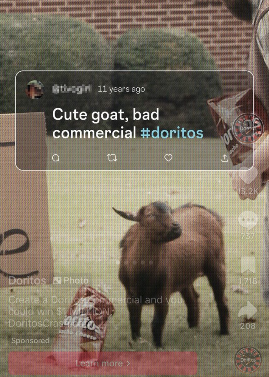 SHSPLLC's tweet photo. 🐐 https://t.co/5jRzDwlhxi