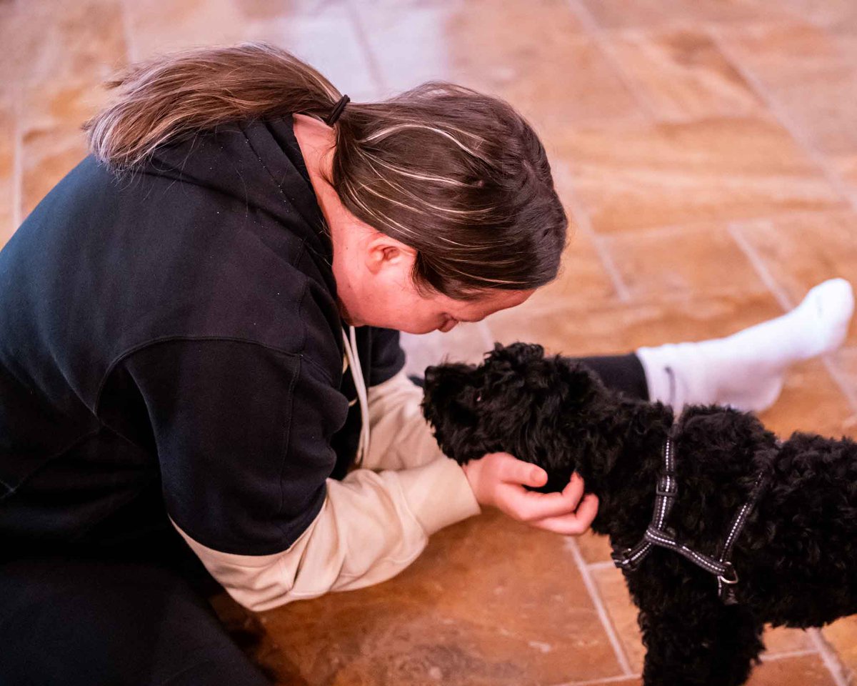 Wake Forest Volleyball tweet media