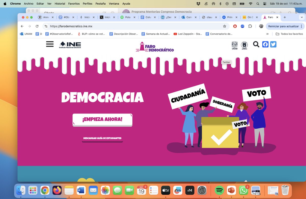 Flavia Freidenberg tweet media