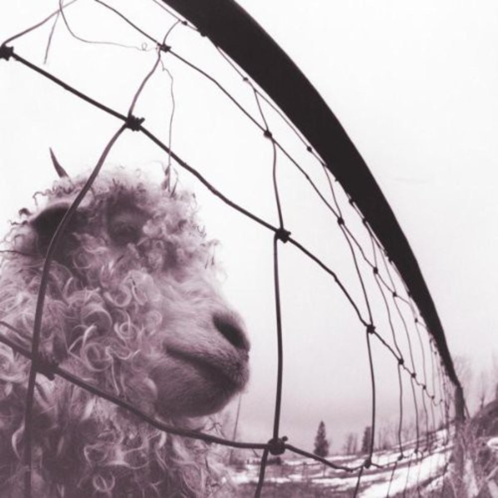 nwpassage1's tweet photo. On this day in 1993, Pearl Jam released their second album, vs. #fiveagainstone https://t.co/SQZLc49G1Y