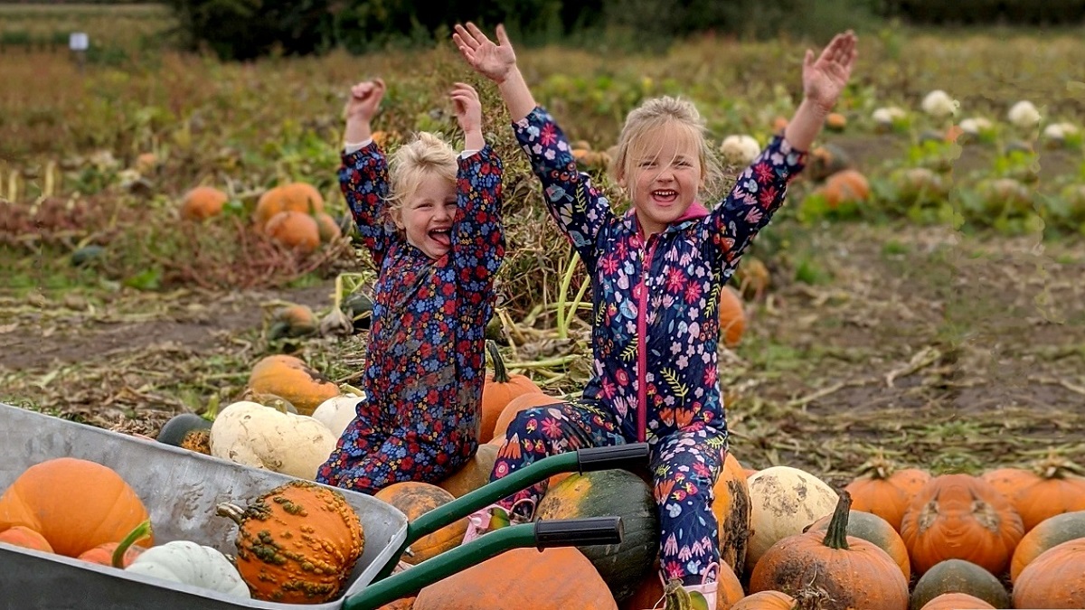 Awesome #KidsActivities at #TattonPark October 2024 #HalfTerm! | Mums &amp; Dads mums-dads.co.uk/family-day-out…

<a href="/tatton_park/">Tatton Park</a> #Knutsford #Cheshire
#HalfTermManchester #HalfTermCheshire 
#HalloweenManchester #HalloweenCheshire