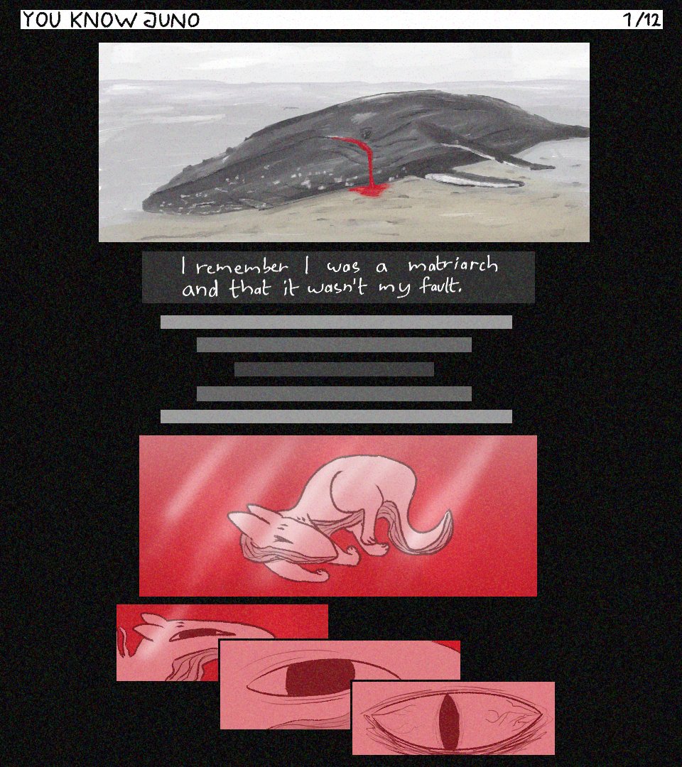 Tacidraw tweet media