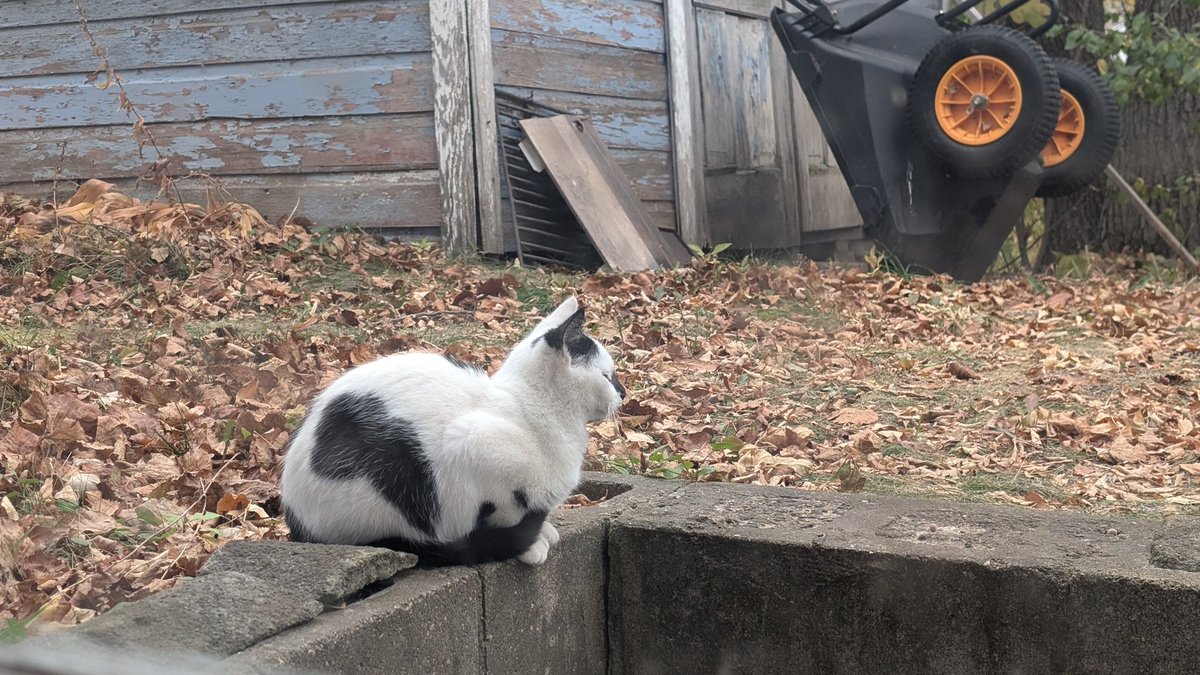 Brian Shipe tweet media