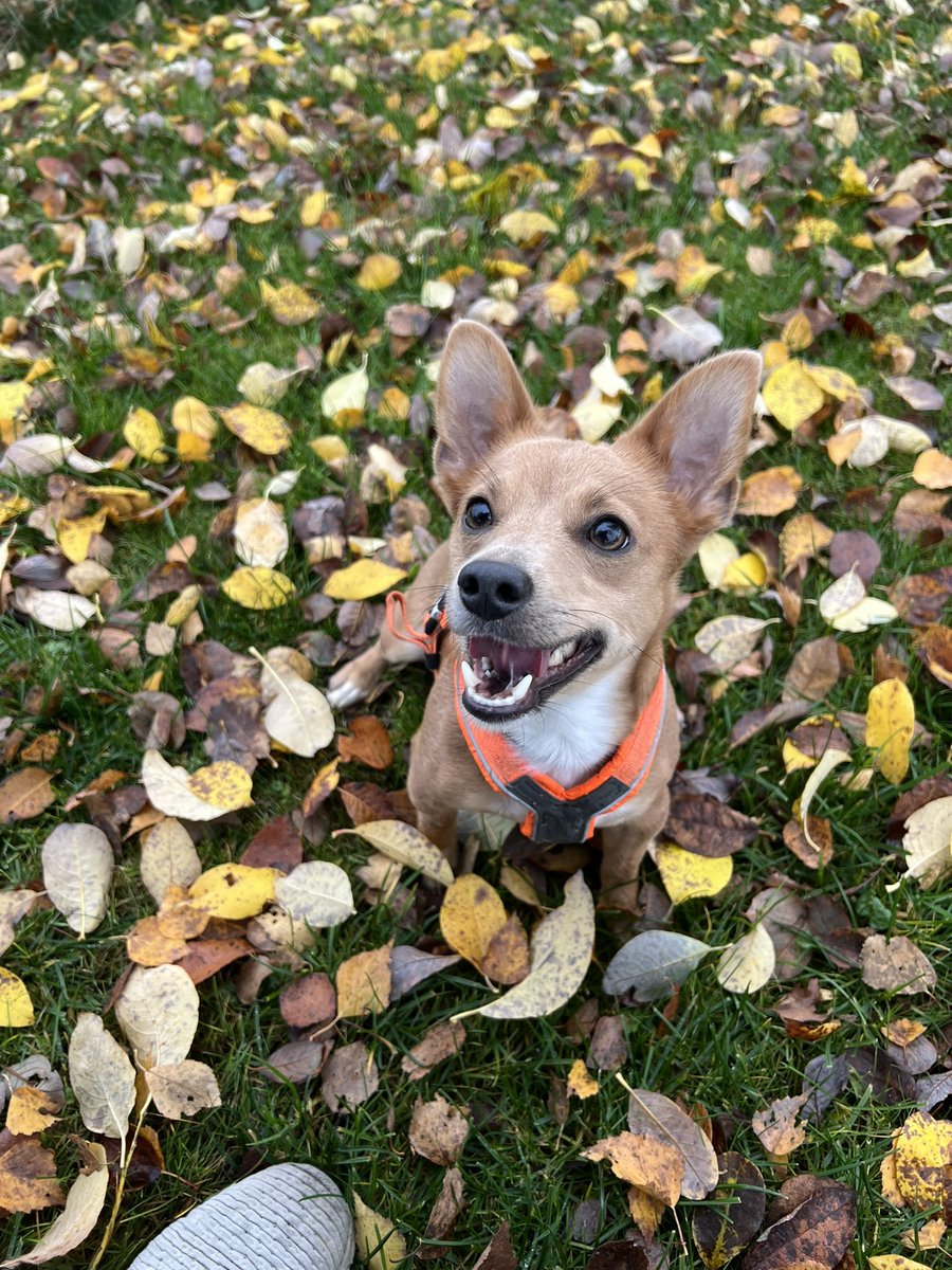 _EIRtv's tweet photo. Happy Saturday ❤️🍂 https://t.co/msIiMl6l1n