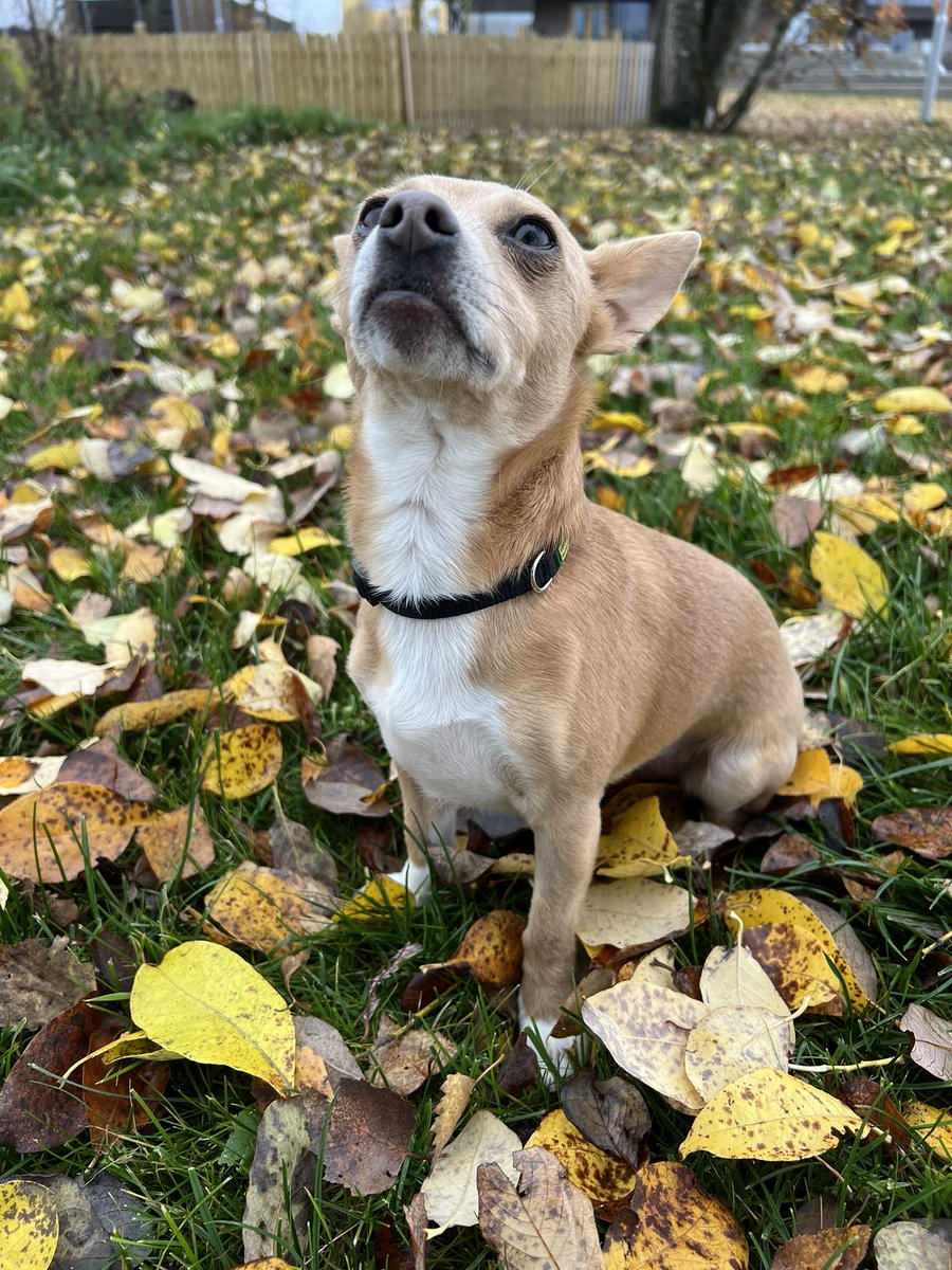 _EIRtv's tweet photo. Happy Saturday ❤️🍂 https://t.co/msIiMl6l1n