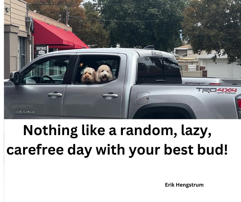 AuthorErik's tweet photo. #saturdayfun #dogday #doglovers #SaturdayMood #readerscommunity #DogLover #bookcontent #bookboost #PuppyLove https://t.co/rwvqKQ6sZF