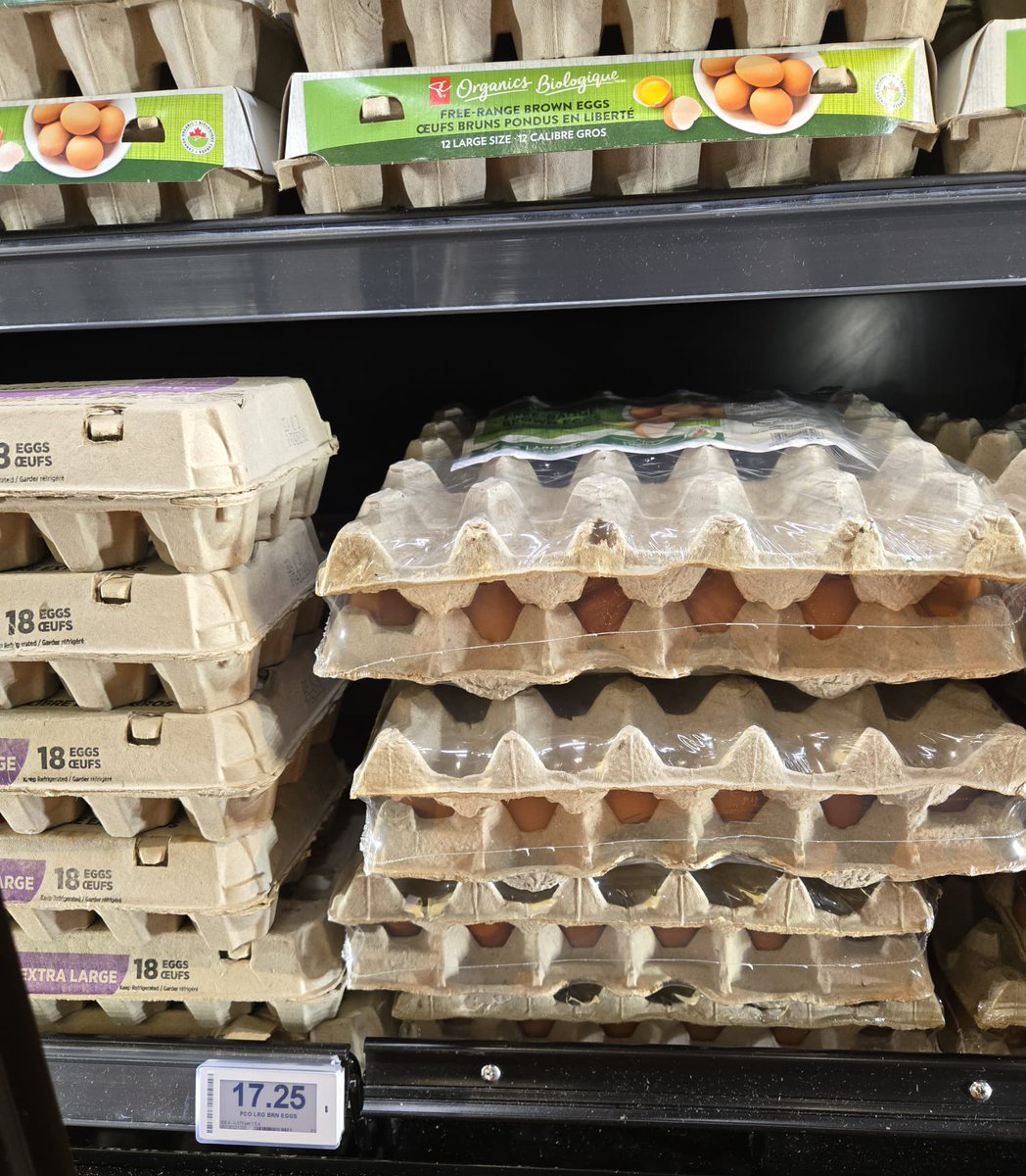 Birgit Umaigba-Omoruyi tweet media