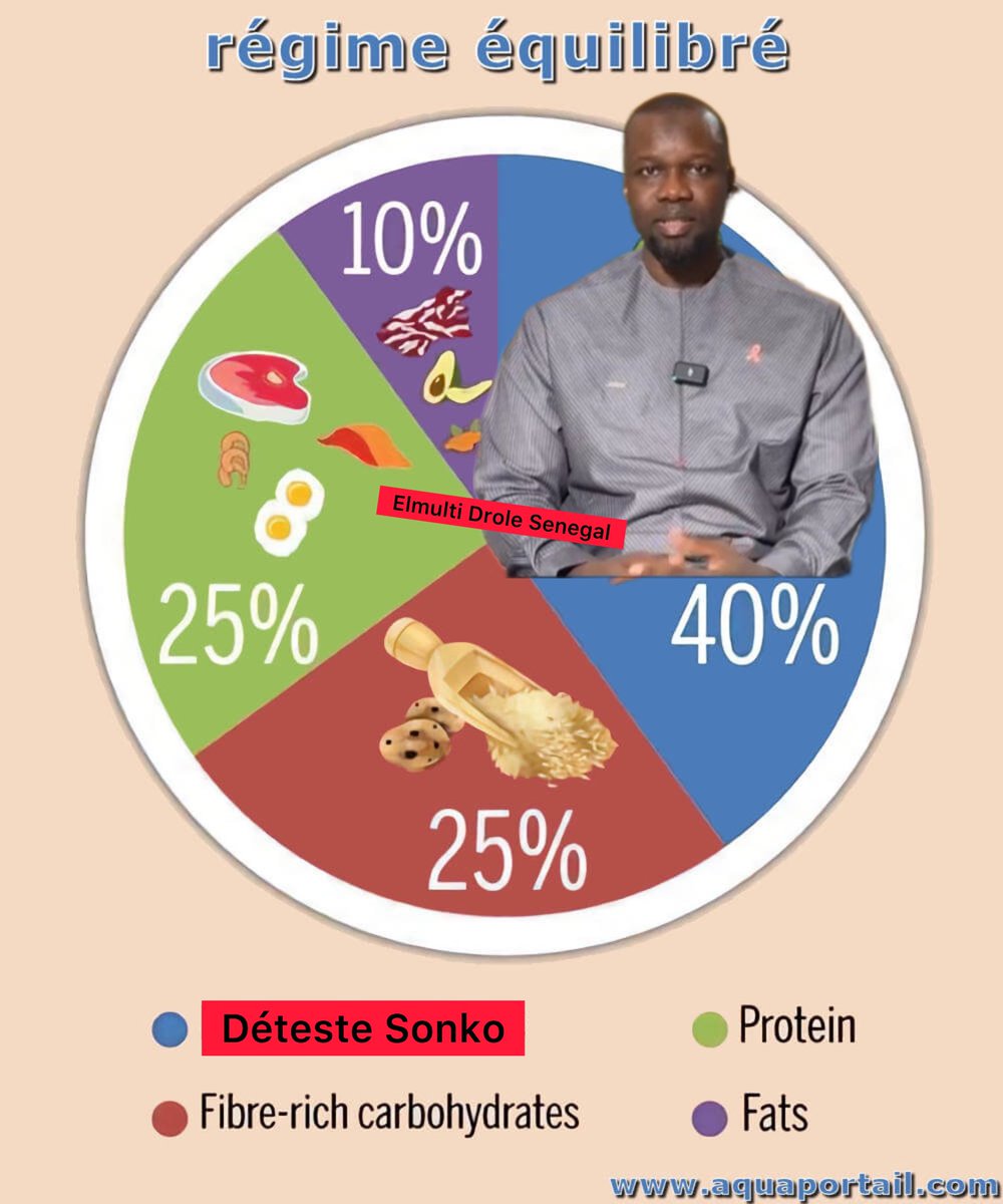 DiengLive's tweet photo. Un régime équilibré. Suivre un régime amaigrissant pour perdre ses kilos superflus et retrouver son poids de forme yaw bagnal SONKO RÉK 😂😂😂 #sonko #elmulti https://t.co/twSSCumJQv