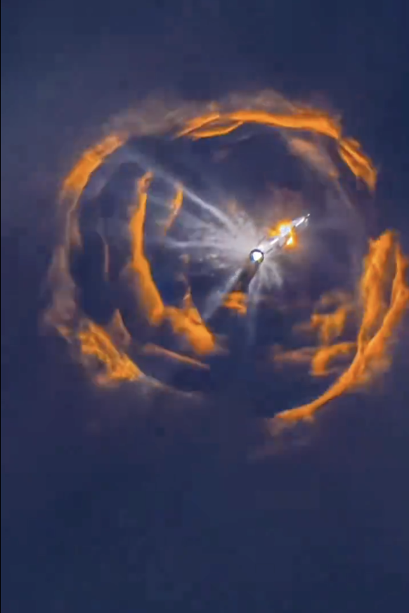 King Bob tweet media