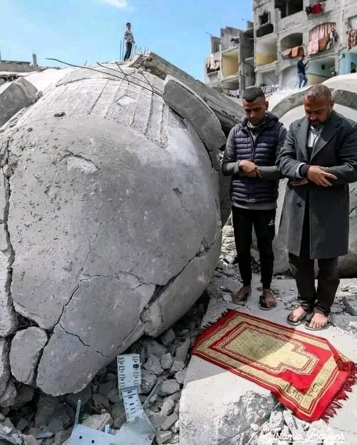 tarqalsyd8's tweet photo. 🇵🇸😭🇵🇸 https://t.co/BM8DF3RemX