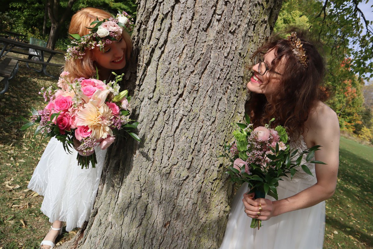 McKayla Higgins tweet media