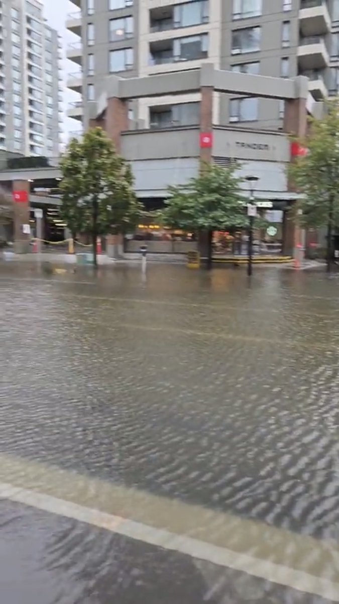 Susan 💖 tweet media