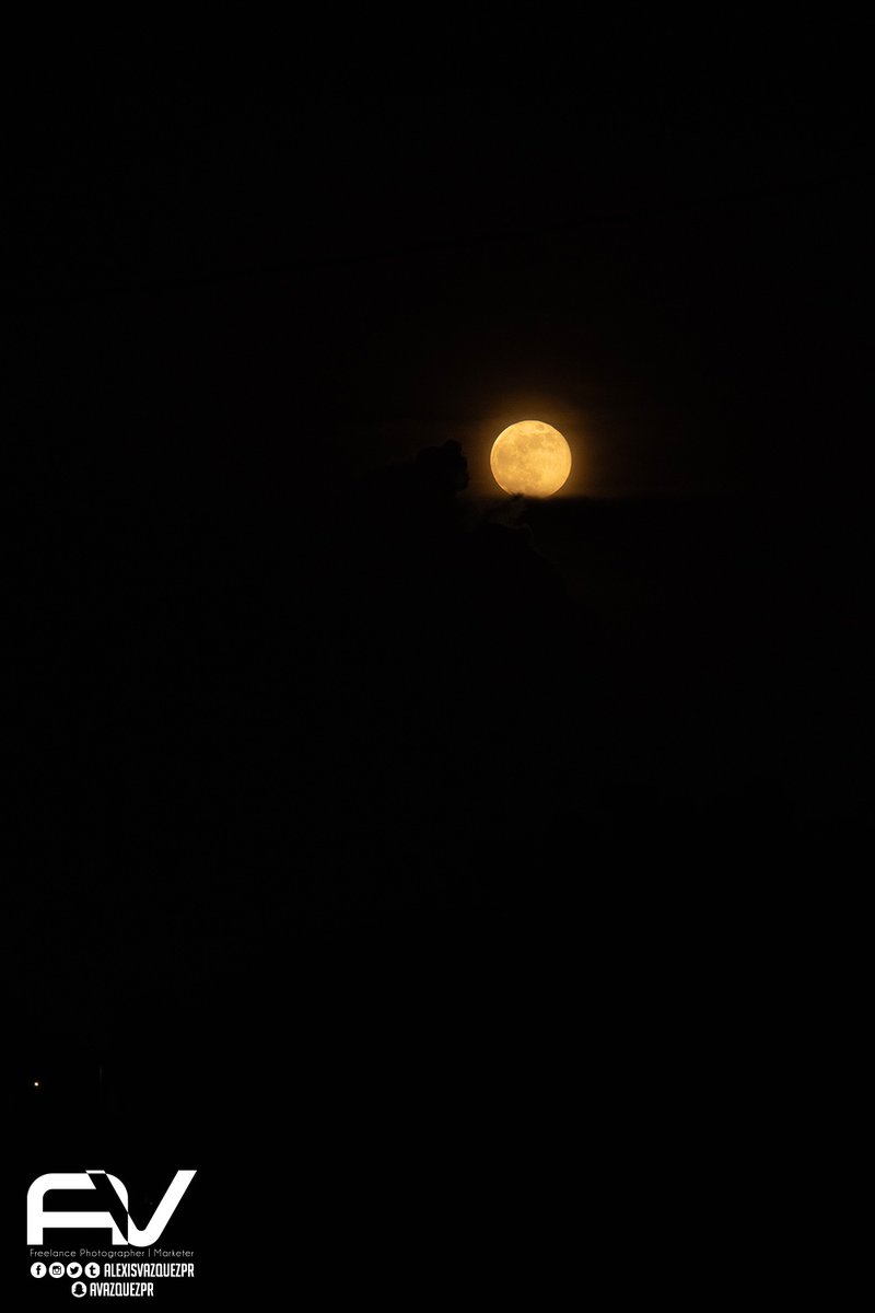 alexisvazquezpr's tweet photo. Super Luna! ๐ท๐ท๐ท
10/17/2024
#AlexisVazquezPR #AlexisPR #NikonD800 #photoshooting #PuertoRico #SuperLuna #Naturaleza #Luna https://t.co/ZgKEvJClKH