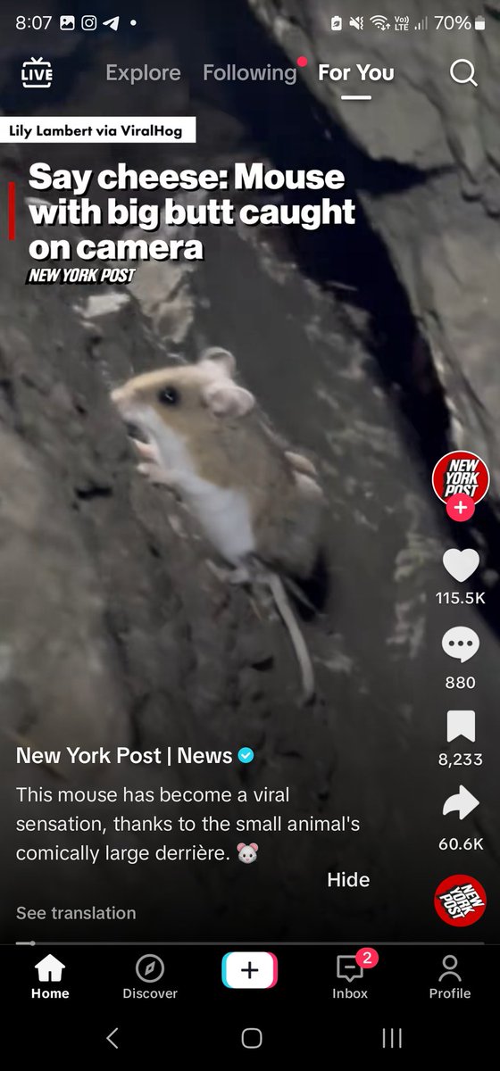 Renym7777's tweet photo. @AidanEnormouse this you? https://t.co/SinlsgrF91