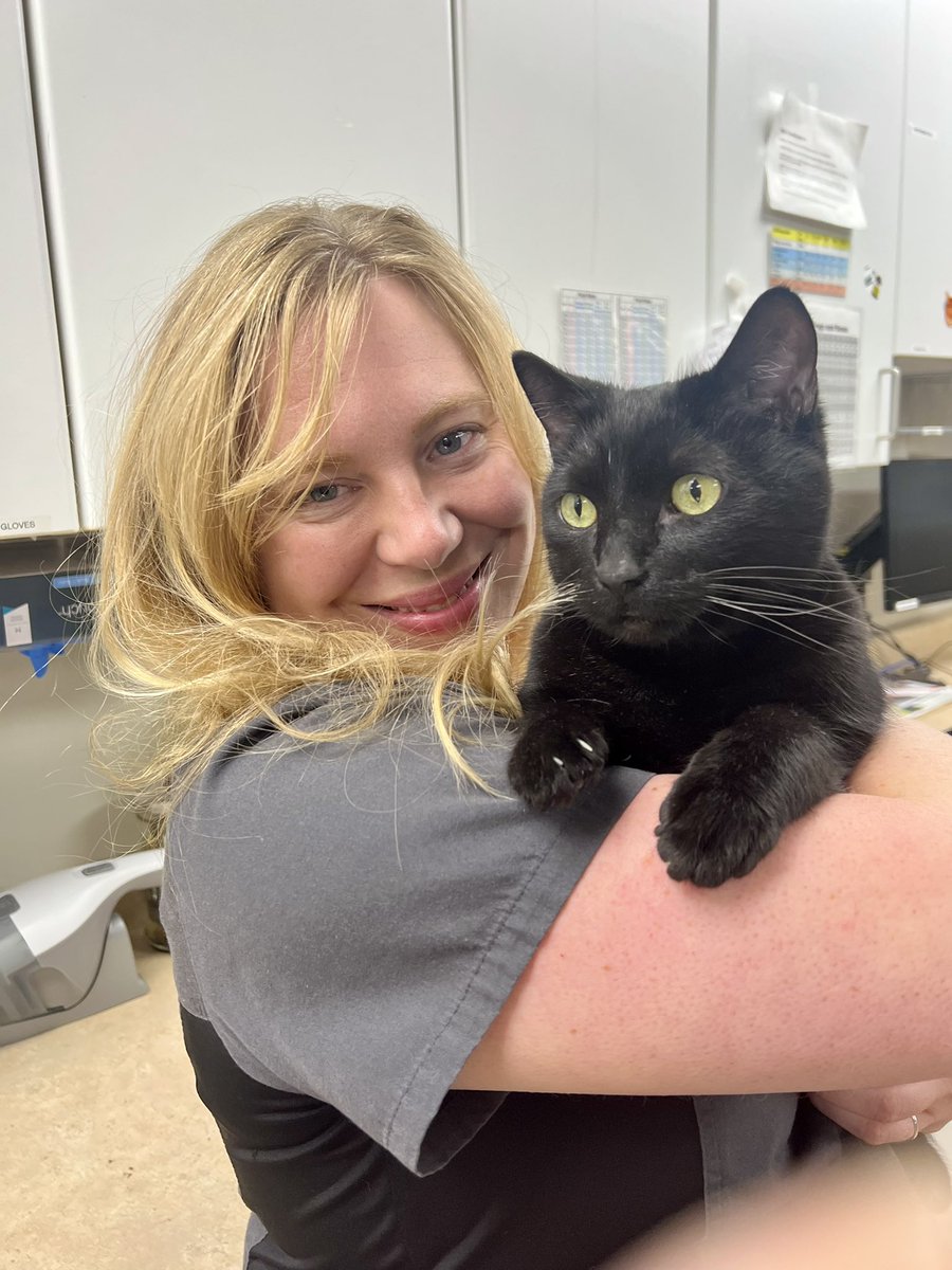 Happy birthday to our incredibly caring, skilled &amp; compassionate Dr. Karen ❤️

This is Karen’s cat Price. He will eat ANYTHING (sandals? yum!) and has survived countless intestinal blockages - luckily he convinced a vet to adopt him! #roncy #roncesvalles #highpark