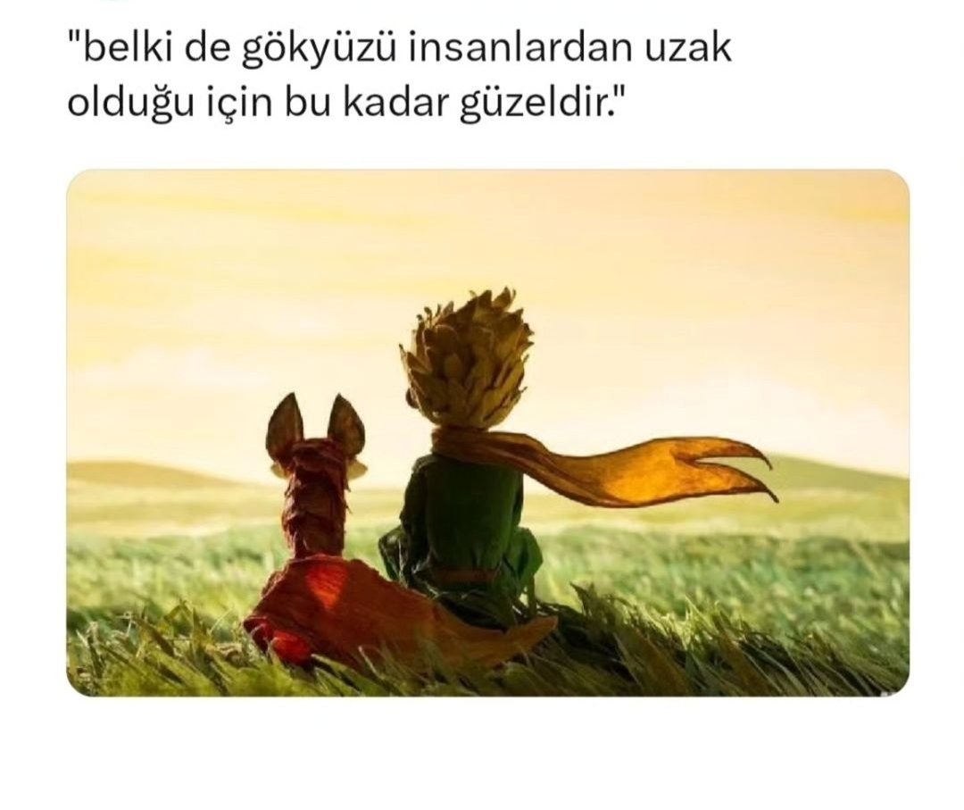 Özhan Aytış tweet media