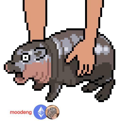 moodeng/莫等 tweet media