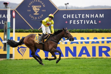 G.Lee17 (@glee17ijf) on Twitter photo <a href="/glee17ijf/">G.Lee17</a> Auction - Lots 15 & 16
A chance to enjoy the thrill, atmosphere & adrenalin of where @glee17ij finest jump successes came with hospitality for 6 at either the
<a href="/grandnational/">Grand National</a> meeting <a href="/AintreeRaces/">Aintree Racecourse</a>
or The Festival <a href="/CheltenhamRaces/">CheltenhamRacecourse</a>
superstars-auctions.com/racingsupports… <a href="/glee17ijf/">G.Lee17</a> Auction - Lots 15 & 16
A chance to enjoy the thrill, atmosphere & adrenalin of where @glee17ij finest jump successes came with hospitality for 6 at either the
<a href="/grandnational/">Grand National</a> meeting <a href="/AintreeRaces/">Aintree Racecourse</a>
or The Festival <a href="/CheltenhamRaces/">CheltenhamRacecourse</a>
superstars-auctions.com/racingsupports…