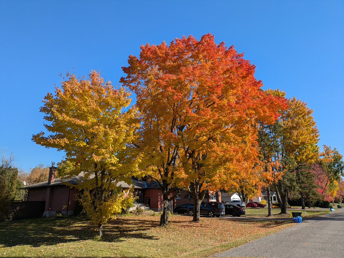 Sep 24 / Oct 8 / Oct 19