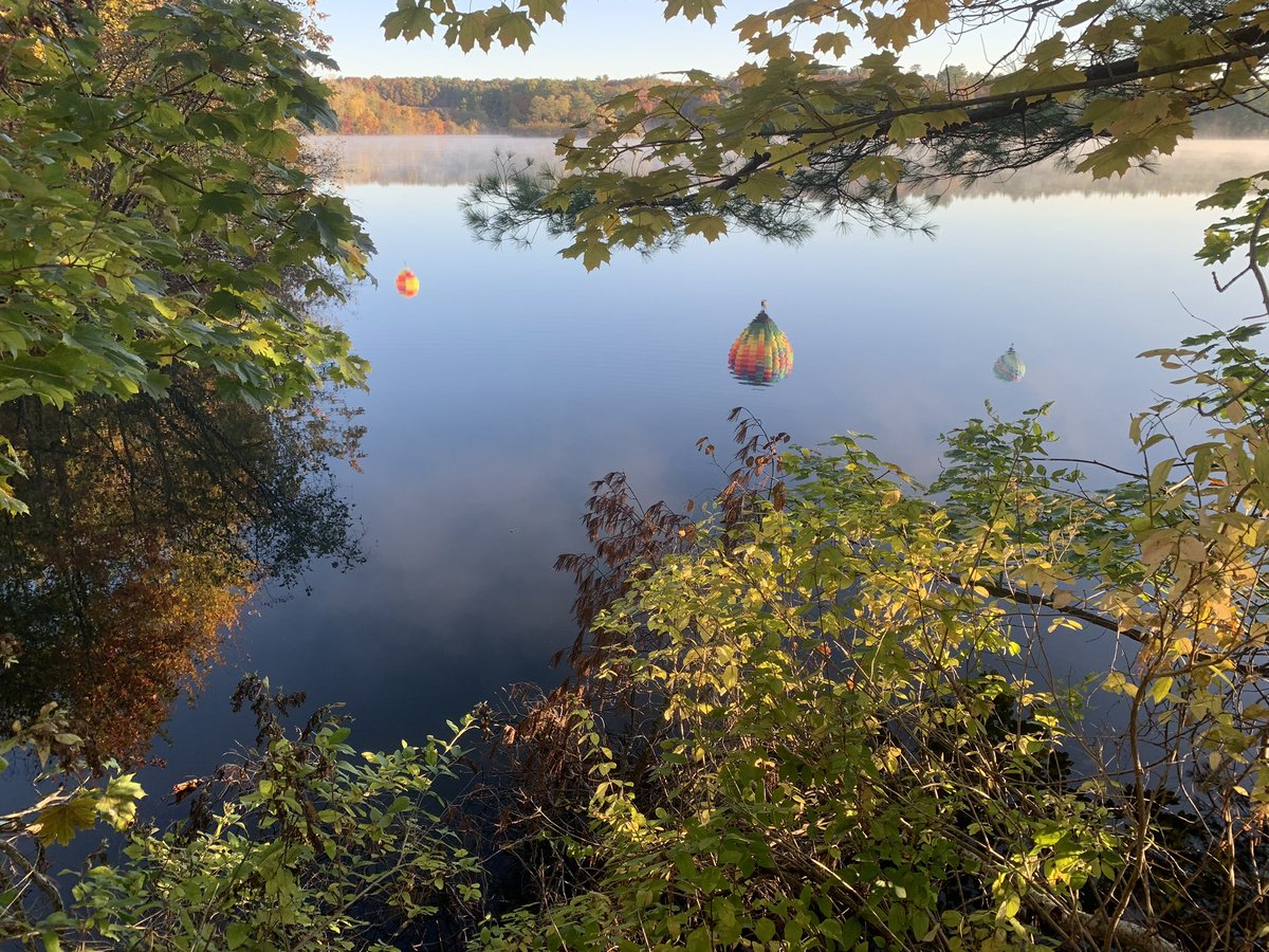 CTBallooning's tweet photo. Matt, Ben & Jim were caught performing inverted acrobatic maneuvers during this mornings flight. Pretty sure we were communicating. ๐๐ Photo credit: Krista Wagoner
#ctballooning #ctballoonrides #balloonrides #bucketlist #ctvisit #FullColorCT #exploreCT #fallfoliage https://t.co/13eTmeNA3Y