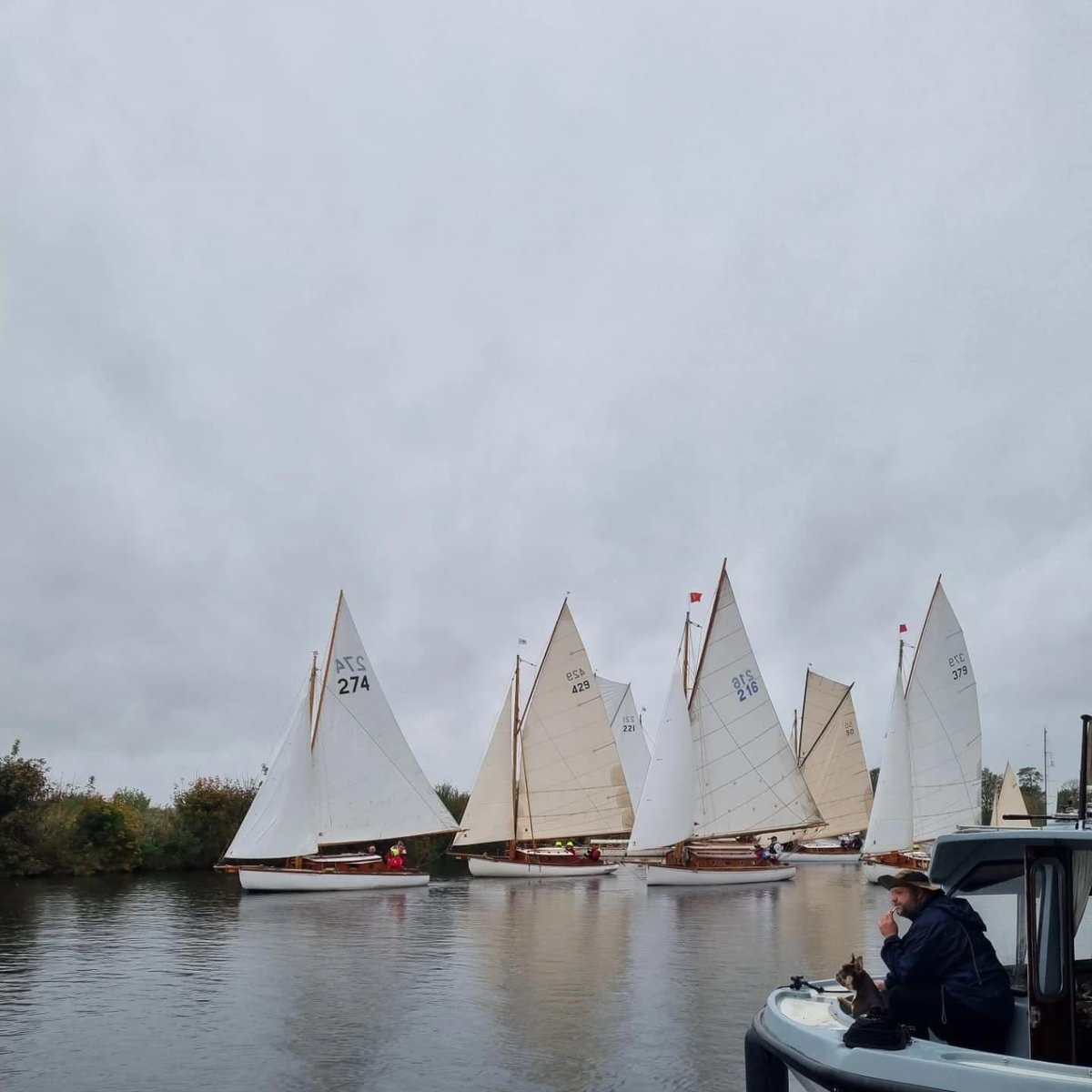 Horning Sailing Club tweet media