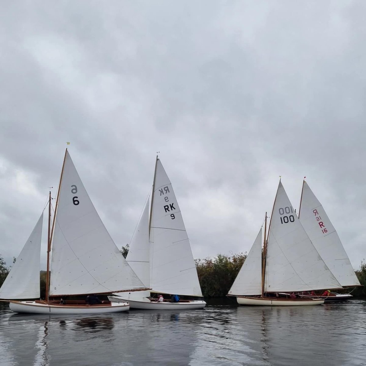 Horning Sailing Club tweet media