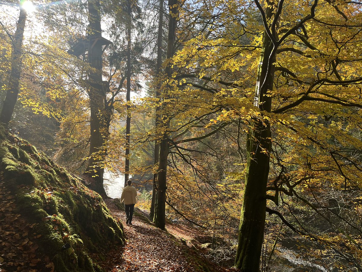 _TomHall1_'s tweet photo. Best time of the year in my favourite part of Scotland 🍁🍂🏴󠁧󠁢󠁳󠁣󠁴󠁿 https://t.co/ddrLSMYVkt