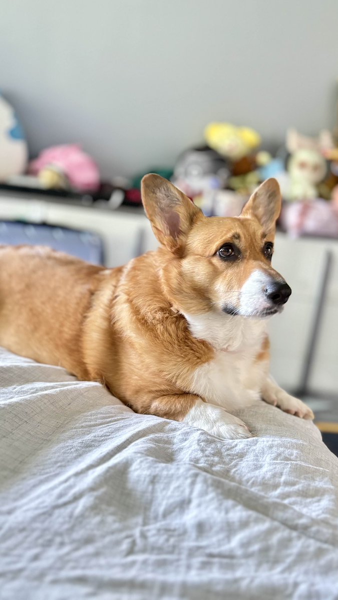 Jayson @ Dragoncon prep tweet media