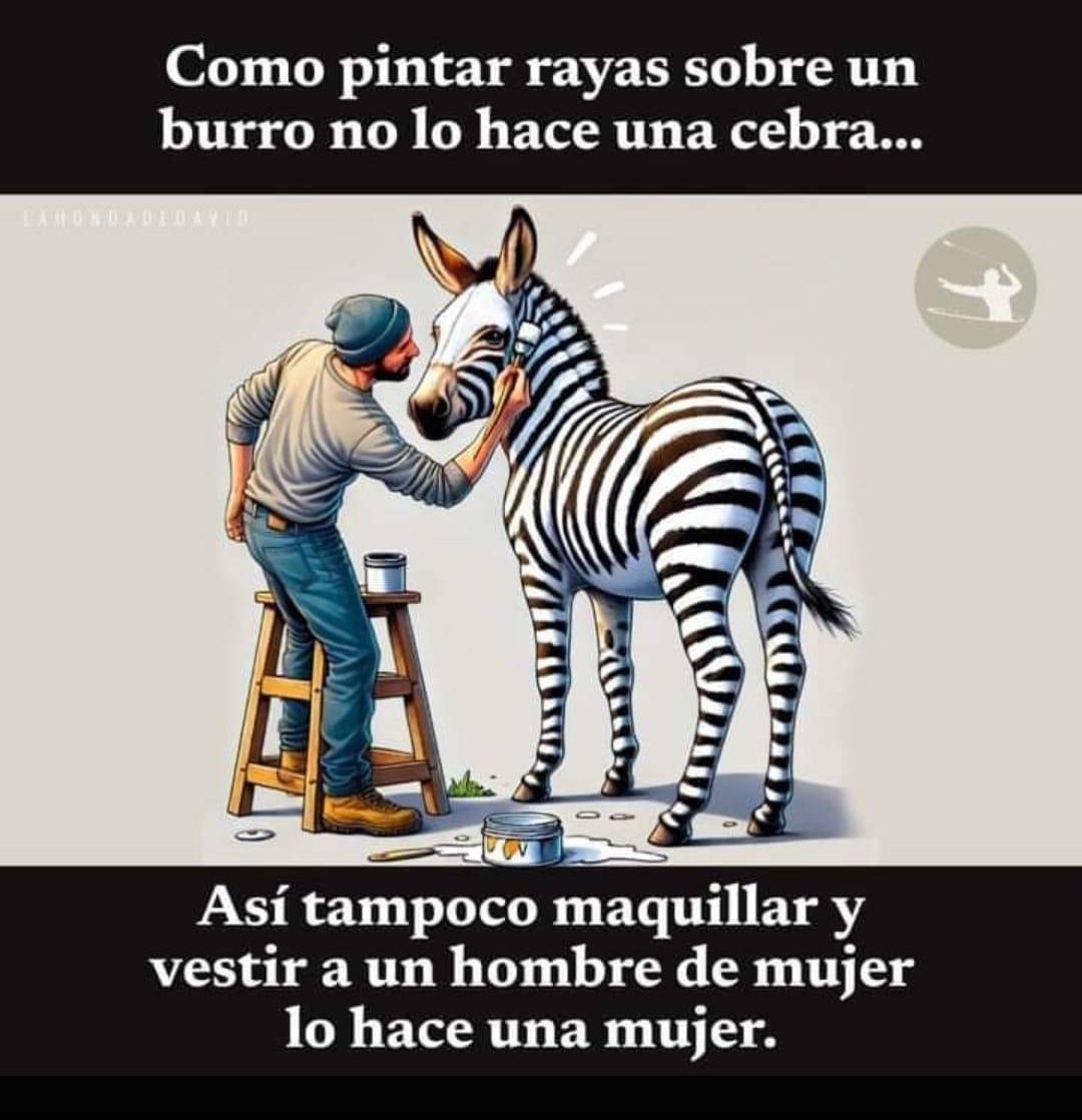 AlvaroChente75's tweet photo. @ArmadasColombia @NadiFadia @MayorCastilloJ @LaOlaBogota @LaOlaLibertaria @CombatVeteranX No más basura de la Idiotacracia Progre. No más #IdeologíaDeGénero No más fantasía sobre realidad, no más destrucción de la mente y el espíritu. Y aquellos con problemas psicológicos y afectivos deben ser ayudados, no dañados.
#NoVision2045
#Artículo109 https://t.co/15Eg20Qqe7