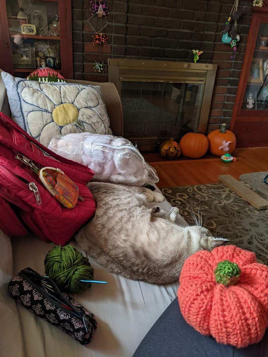 Mrs.. and Belle are having a relaxing day 👀