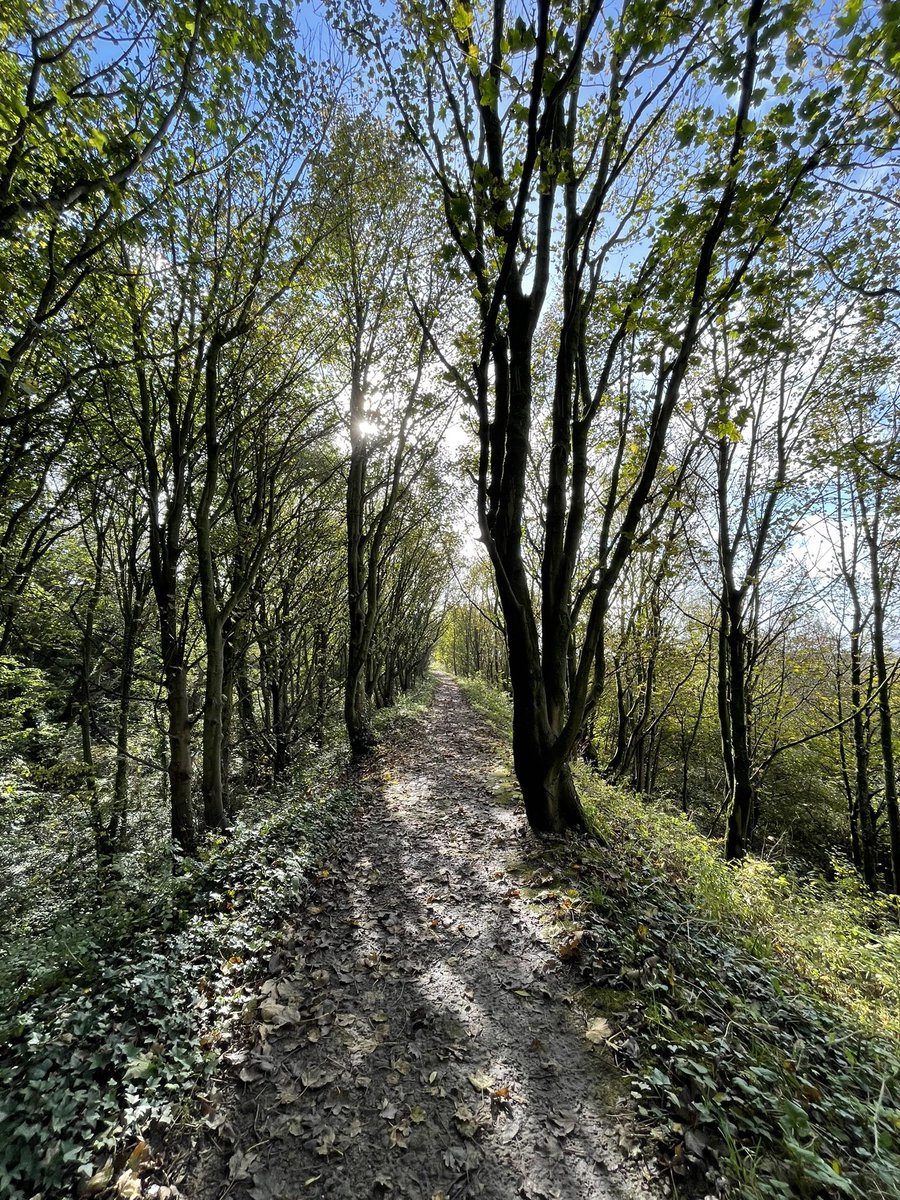 em_powell1's tweet photo. So lucky to have @NTSpekeHall on our doorstep
Beautiful sunshine and opportunity for #Autumnwalk 🍂🧡🍂🧡🍂 https://t.co/PlrBbIkFEL