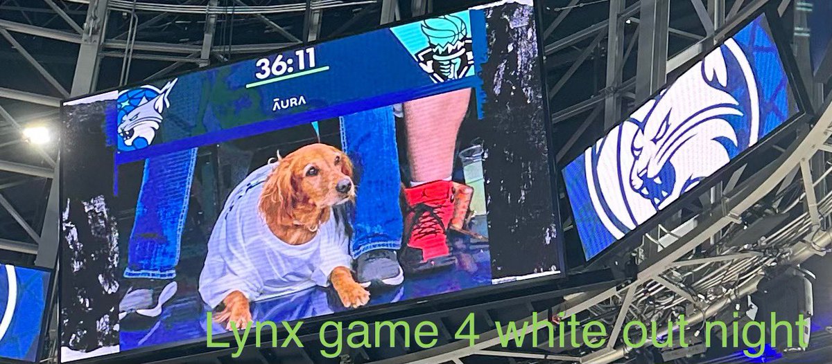 NaginiLife's tweet photo. Yesterday mom worked me hard Lynx Game 4 for the win and then P!nk concerts. Now sleepy time https://t.co/y6gKZKb9lB