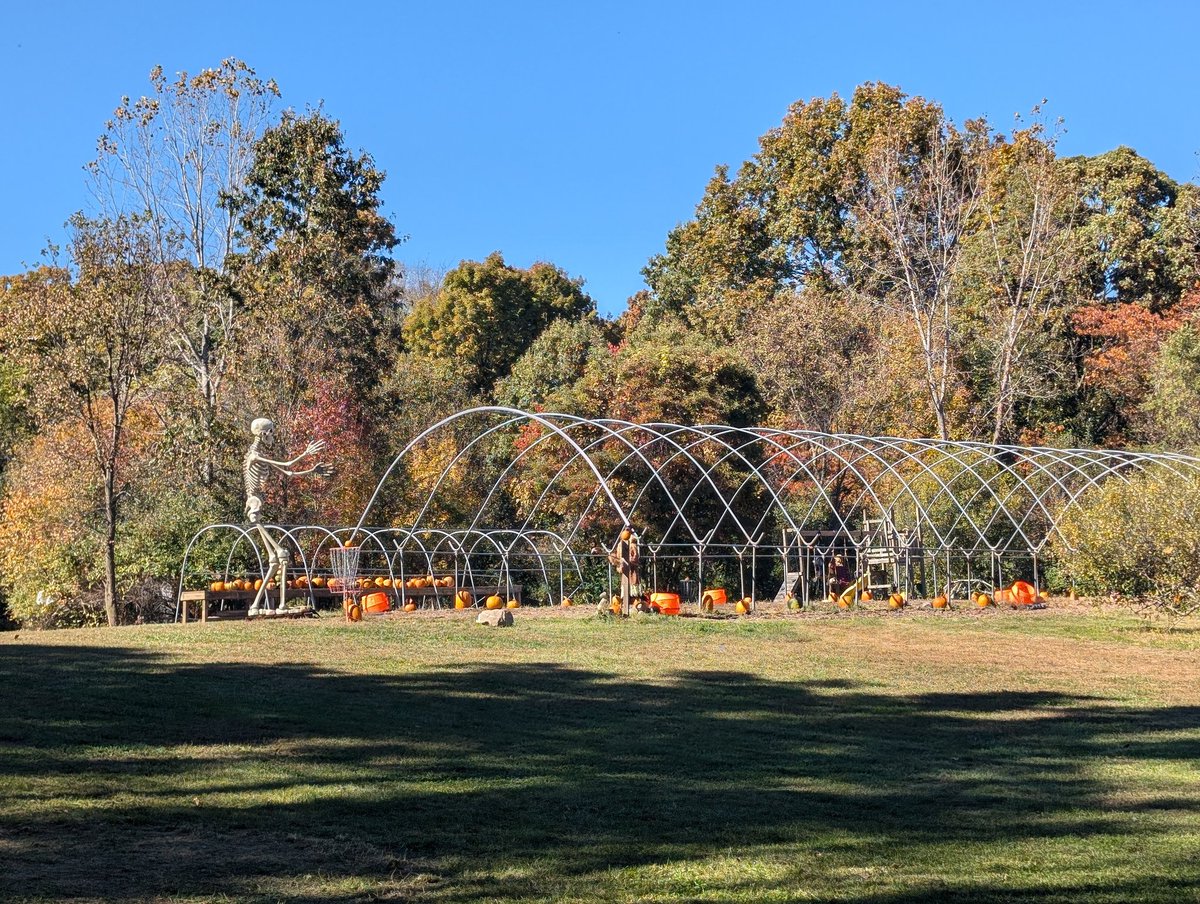 ccraiff's tweet image. #AceRun