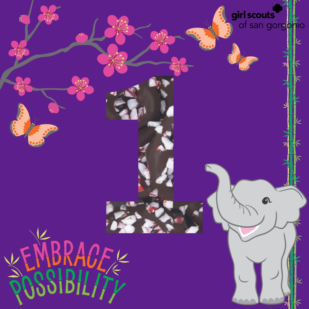 GirlScoutsSGC's tweet image. 1 more day for Online Girl Delivered! Did you know that Fall products ordered under Online Girl Delivery will be made available AFTER the GSSGC Fall Mega Drop event on November 2? Customers can expect to hear from their 

#GSSGC #GirlScoutsofSanGorgonio #GirlScouts #inlandempire