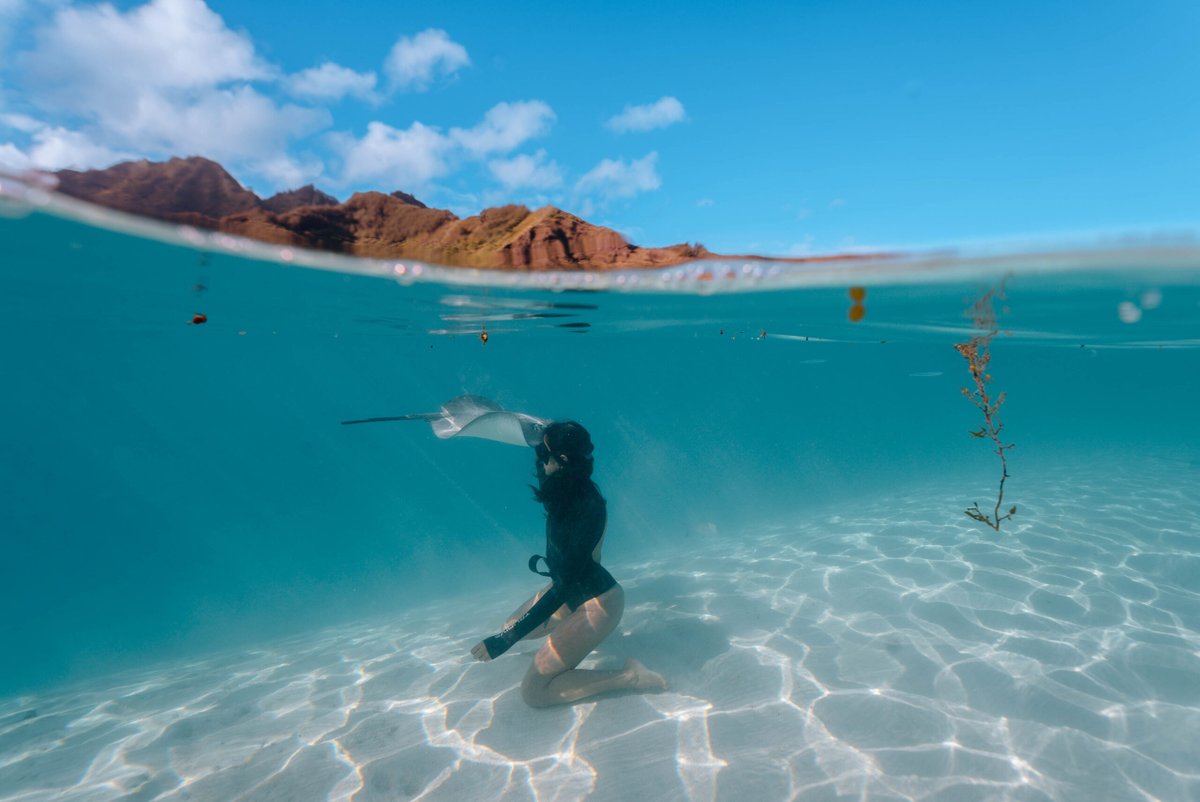 FilterGrade tweet media