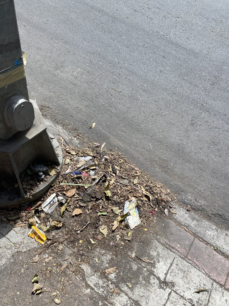 Grace0320's tweet photo. @OlaMHmx Anteriormente he reportado que hacen falta servicios de limpieza en las calles y Lago Gran Oso es una de ellas, ojalá puedan atender el reporte. https://t.co/z9t18tDy6c