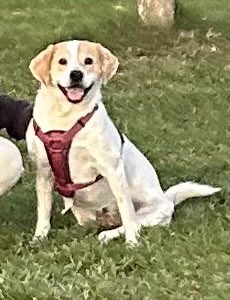 I love this lil girl ❤️