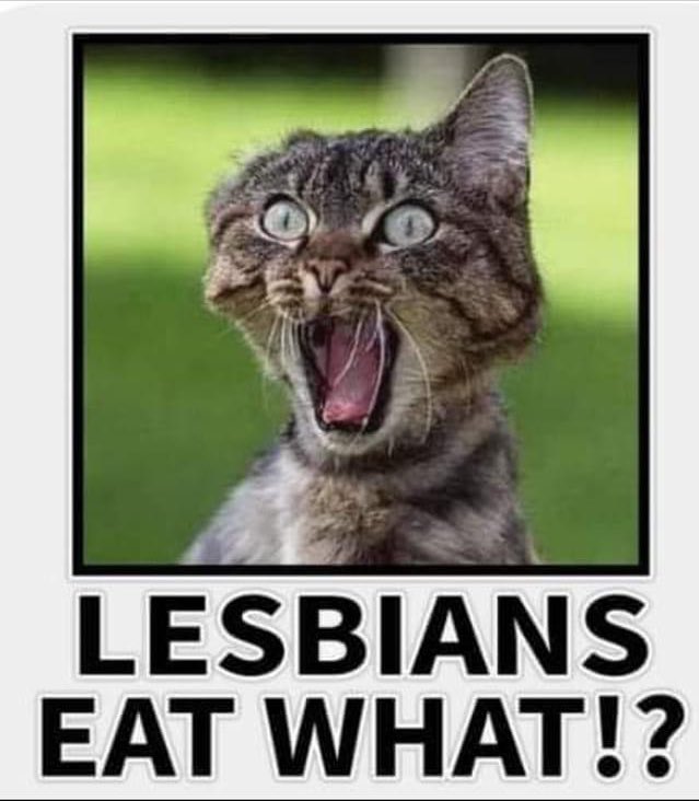 hshLauraJ's tweet photo. I hate to be catty but, https://t.co/Xsz05BDoj3