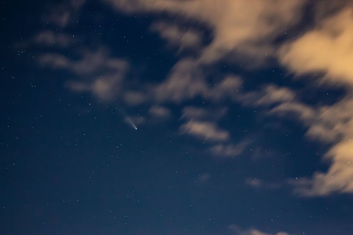 Zum #Astronomietag gab es heute für die Nachbarn in #Bochum live den fast vollen Mond, jede Menge Starlink-Trails, Sternschnuppen und natürlich zwischen den Wolken den (inzwischen nicht mehr ganz so spektakulären) Kometen Tsuchinshan-Atlas. <a href="/PlanetariumBO/">Planetarium Bochum</a>