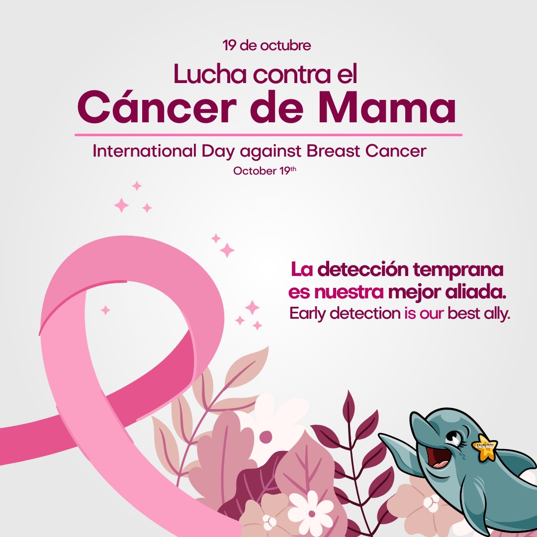 Dolphin Discovery tweet media